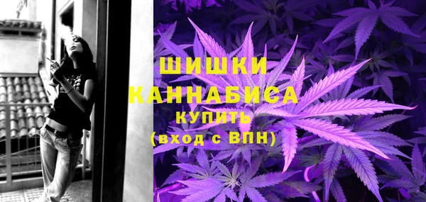 гидропоника Елабуга