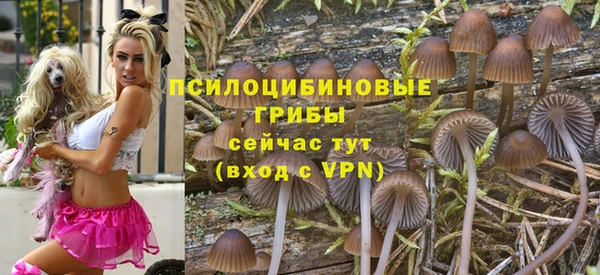MDMA Ельня