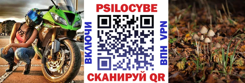 Купить закладки  Кизел  Псилоцибиновые грибы Psilocybe 